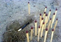 photo art4